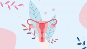 Проверка проходимости маточных труб (Эхо-ГСС)