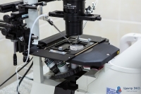 1 месяц хранения эмбрионов бесплатно в рамках ЭКО по ОМС